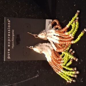 Expressions Multicolor Earrings